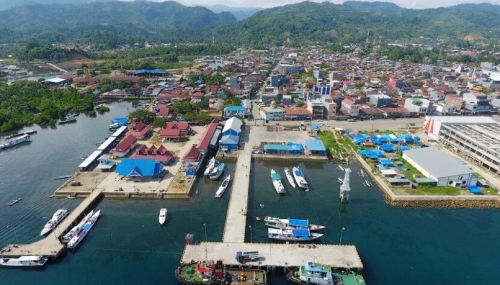 Ekspedisi Surabaya Manado Solusi Logistik Cepat dan Tarif Hemat